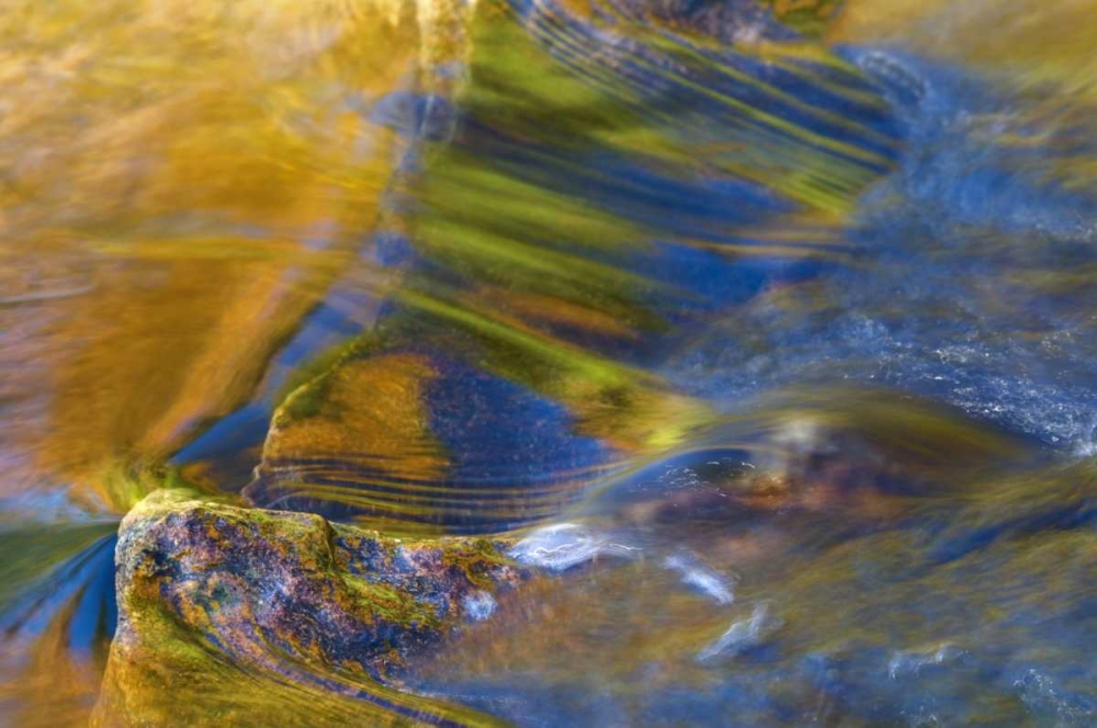 NH, White Mountain NF, Fall reflections in stream art print by Nancy Rotenberg for $57.95 CAD